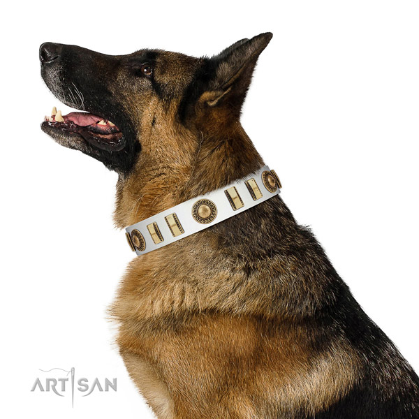 Incredible full grain natural leather dog collar with strong buckle