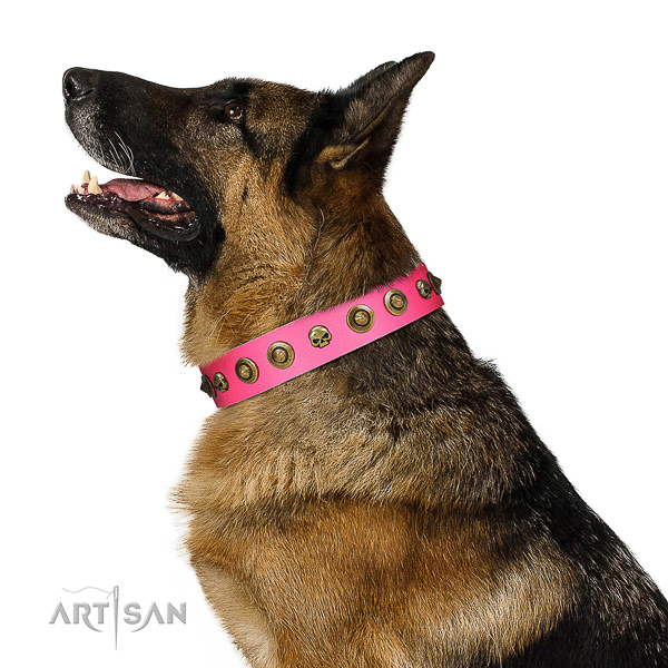 Designer decorations on genuine leather collar for your pet