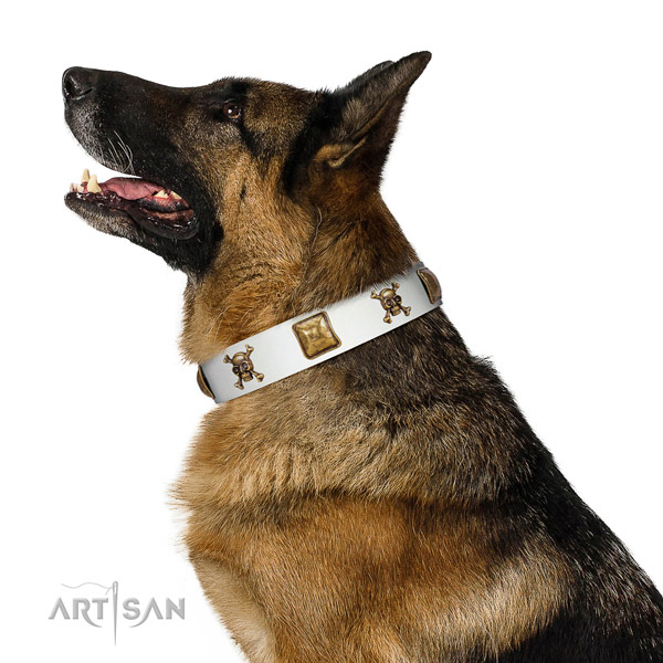 Impressive natural leather dog collar with corrosion resistant decorations