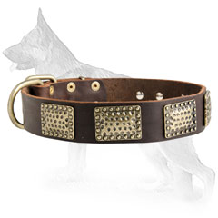 German Shepherd Dog Collar Decorated Brass Plates