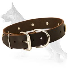 Ideal German Shepherd Dog Collar