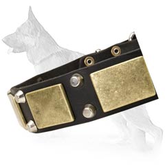 Superb German Shepherd Dog Collar