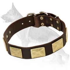 Excellent German Shepherd Dog Collar