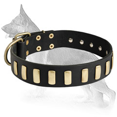 German Shepherd Dog Collar Of A High Quality