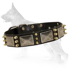 Unusual German Shepherd Dog Collar