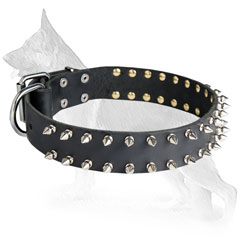 German Shepherd Dog Collar Nickel Spikes