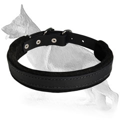 Reliable German Shepherd Dog Collar