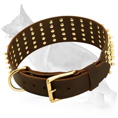 German Shepherd Dog Collar For Stylish Dogs