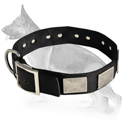 German Shepherd Dog Collar Of Extreme Style