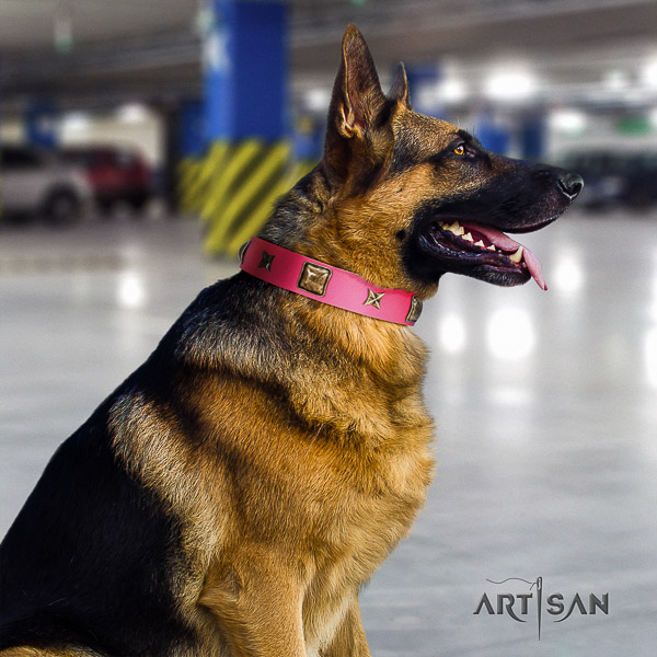 German Shepherd Dog remarkable decorated leather dog collar