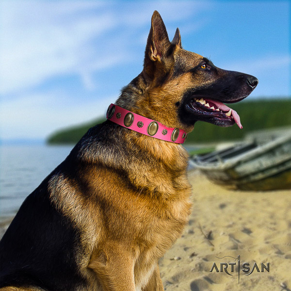 German Shepherd Dog stylish design decorated full grain natural leather dog collar