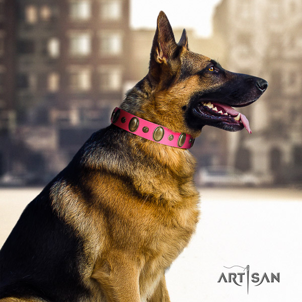 German Shepherd Dog inimitable adorned leather dog collar