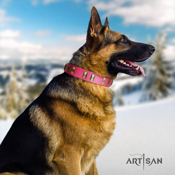 German Shepherd Dog trendy decorated leather dog collar