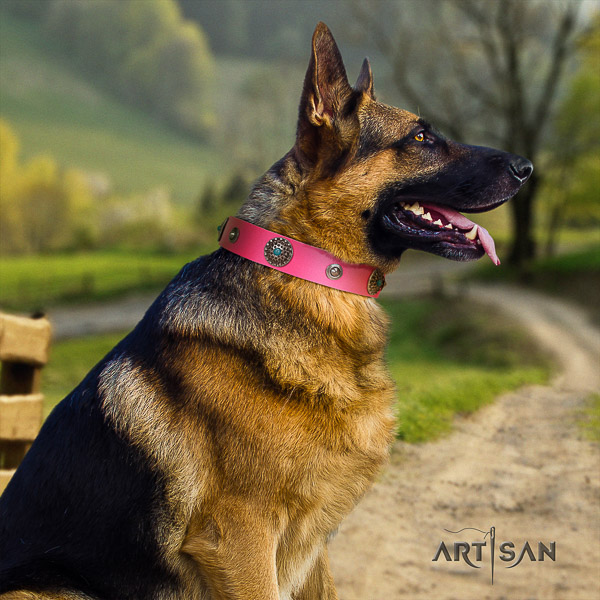 German Shepherd Dog remarkable adorned natural leather dog collar for everyday use