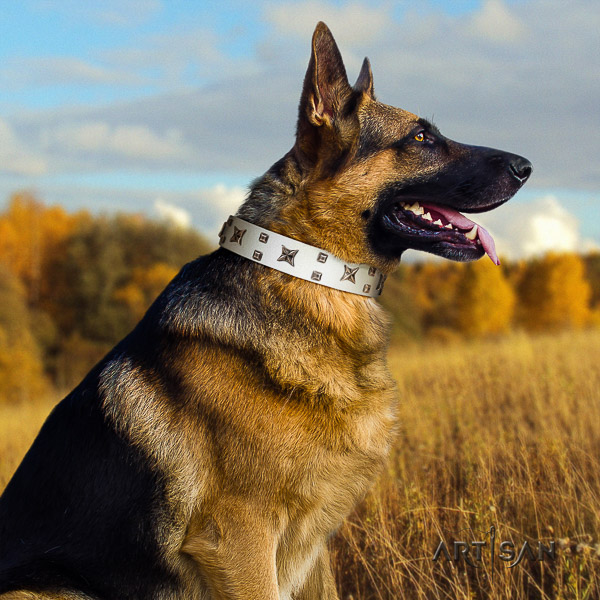 German Shepherd Dog unique embellished natural leather dog collar for everyday walking
