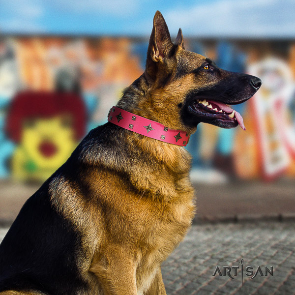 German Shepherd Dog stunning studded natural leather dog collar for everyday walking