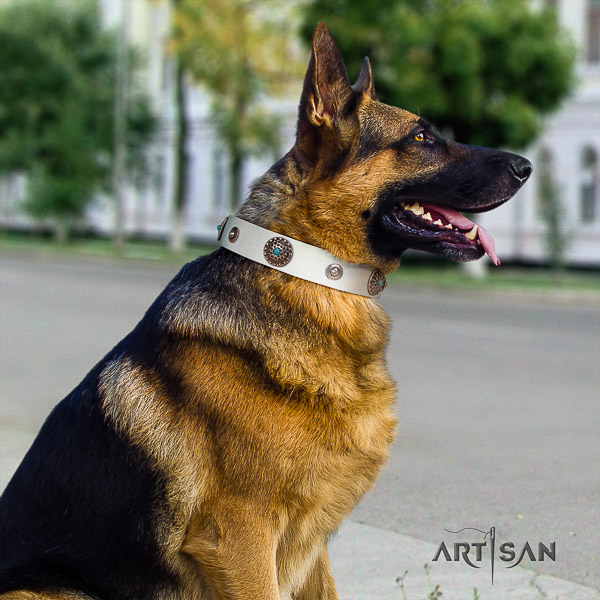 German Shepherd Dog incredible embellished full grain leather dog collar for comfy wearing