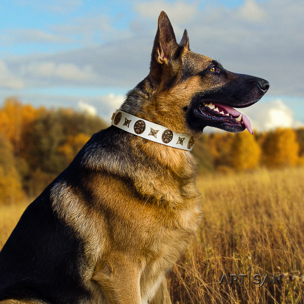 German Shepherd Dog stylish design studded leather dog collar