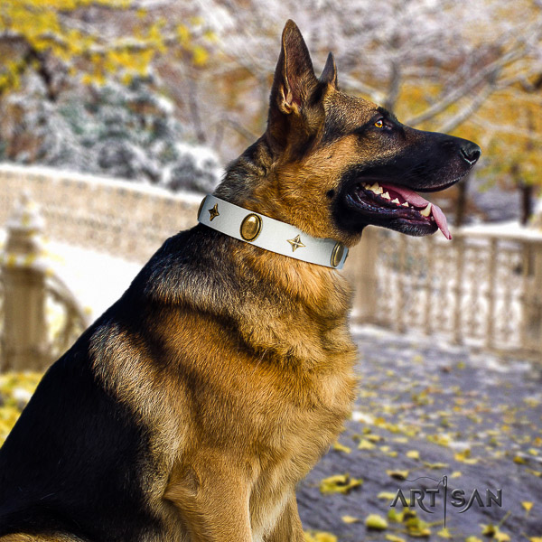 German Shepherd Dog exquisite adorned genuine leather dog collar