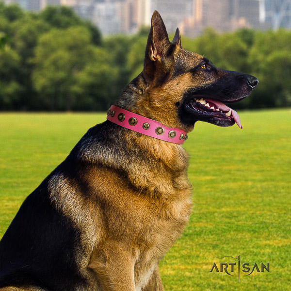 German Shepherd Dog impressive decorated full grain genuine leather dog collar