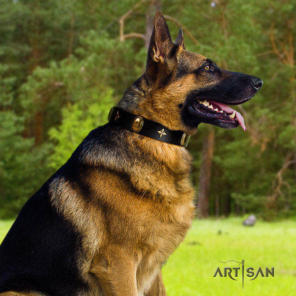 German Shepherd Dog trendy embellished full grain natural leather dog collar