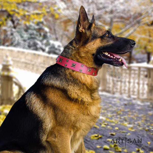 German Shepherd Dog stylish studded full grain genuine leather dog collar for walking