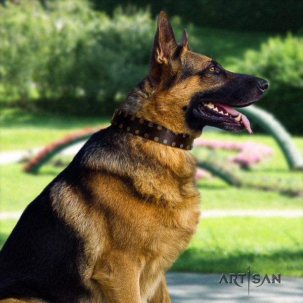 German Shepherd Dog trendy adorned full grain genuine leather dog collar