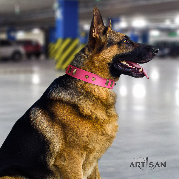 German Shepherd Dog extraordinary decorated leather dog collar