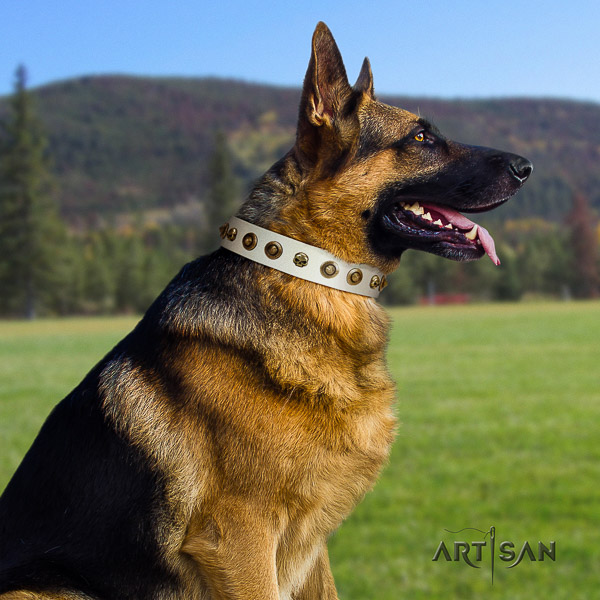 German Shepherd Dog exceptional studded full grain genuine leather dog collar