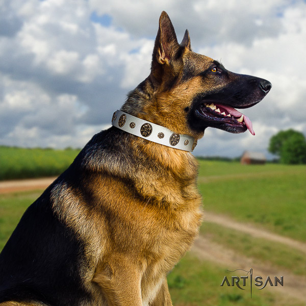 German Shepherd Dog unusual embellished full grain leather dog collar