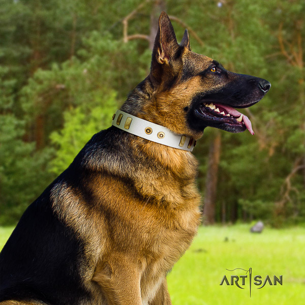 German Shepherd Dog exquisite decorated leather dog collar