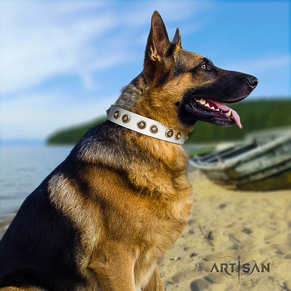 German Shepherd Dog impressive decorated leather dog collar