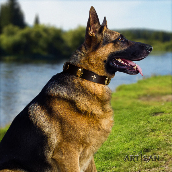 German Shepherd Dog incredible decorated full grain leather dog collar