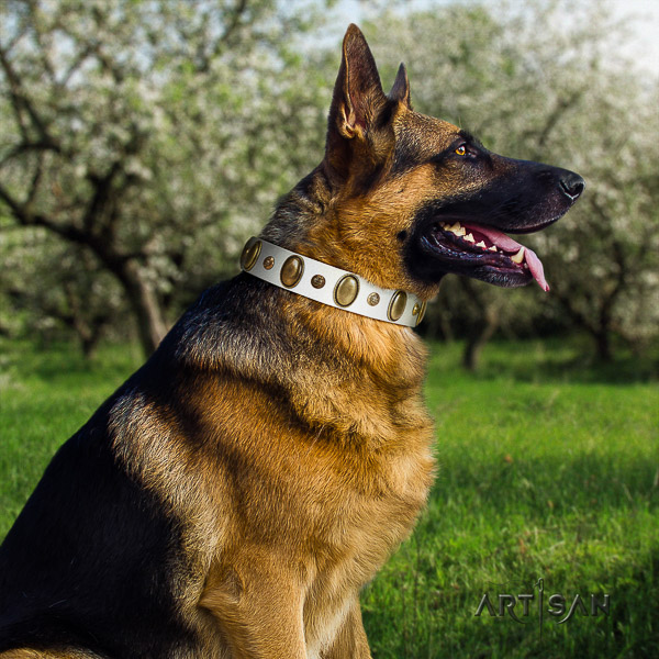 German Shepherd Dog impressive decorated natural genuine leather dog collar