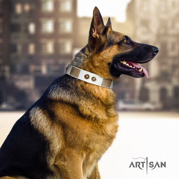 German Shepherd Dog unique adorned full grain genuine leather dog collar