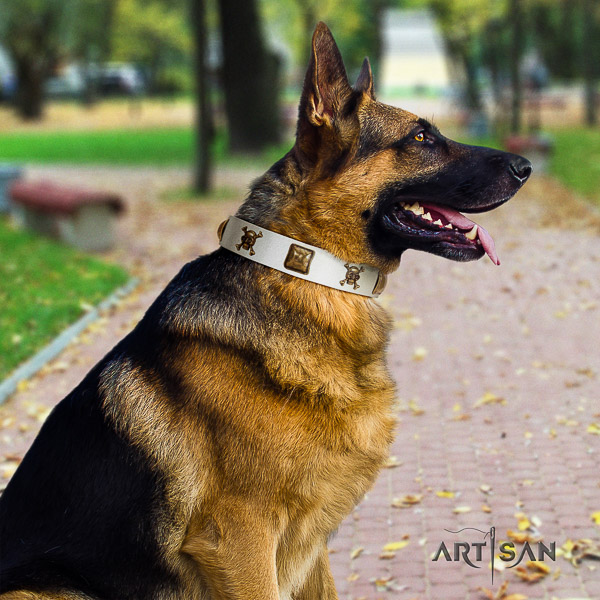 German Shepherd Dog fashionable embellished full grain leather dog collar