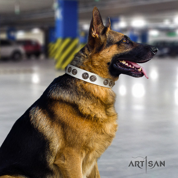 German Shepherd Dog trendy embellished natural leather dog collar for everyday walking