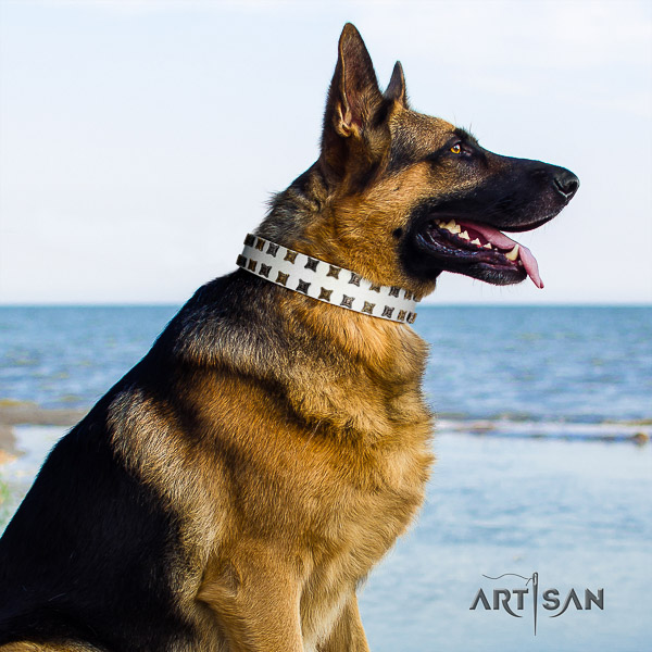 German Shepherd Dog remarkable embellished full grain leather dog collar