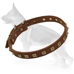 Extra Strong German Shepherd Dog Collar