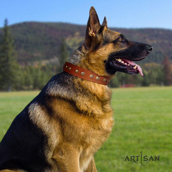 German Shepherd leather dog collar with embellishments for your stylish doggie