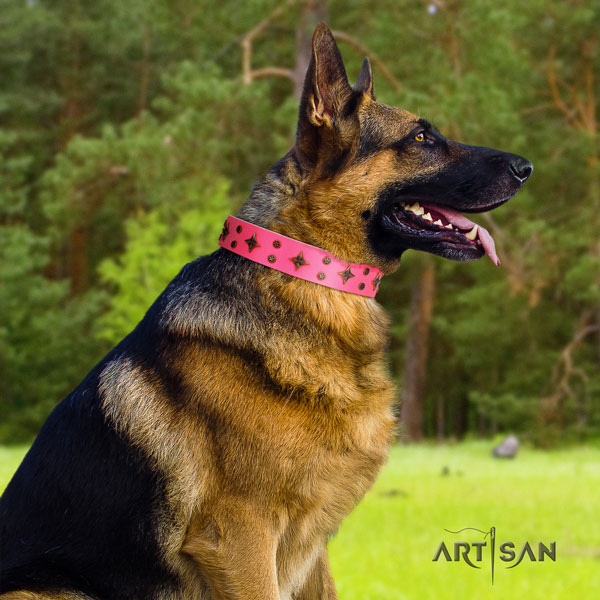 German Shepherd full grain leather dog collar with embellishments for your stylish pet