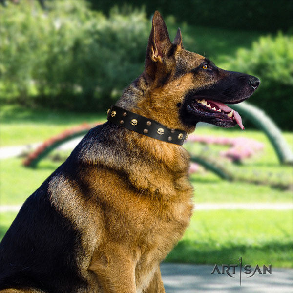 German Shepherd natural genuine leather dog collar with decorations for your stylish doggie