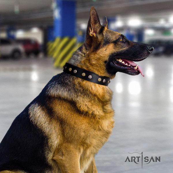 German Shepherd full grain genuine leather dog collar with embellishments for your impressive doggie