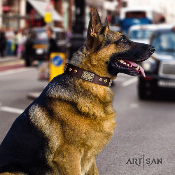 German Shepherd leather dog collar with studs for your stylish doggie