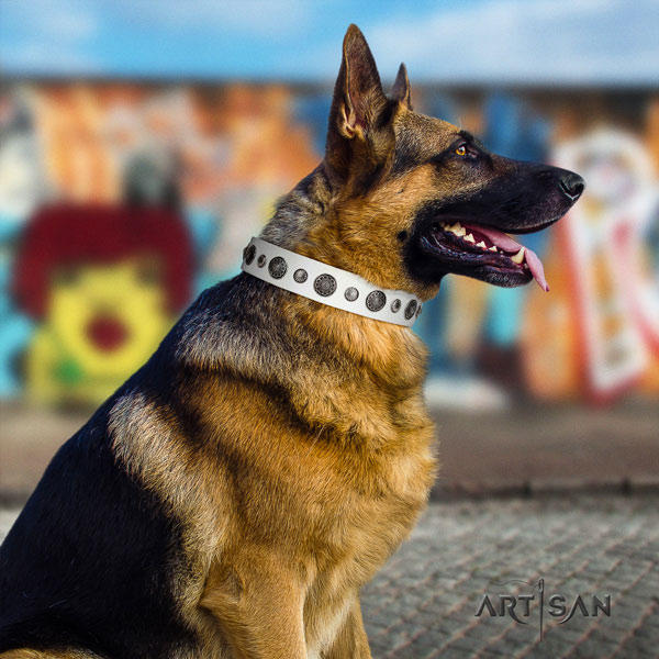 German Shepherd genuine leather dog collar with embellishments for your handsome four-legged friend
