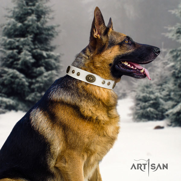 German Shepherd full grain leather dog collar with studs for your attractive canine