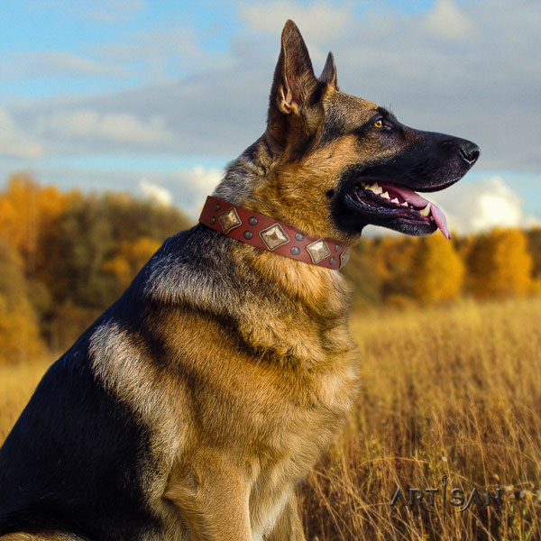 German Shepherd full grain leather dog collar with decorations for your attractive four-legged friend