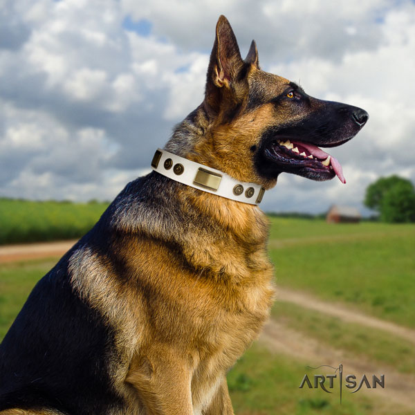 German Shepherd natural genuine leather dog collar with adornments for your attractive dog