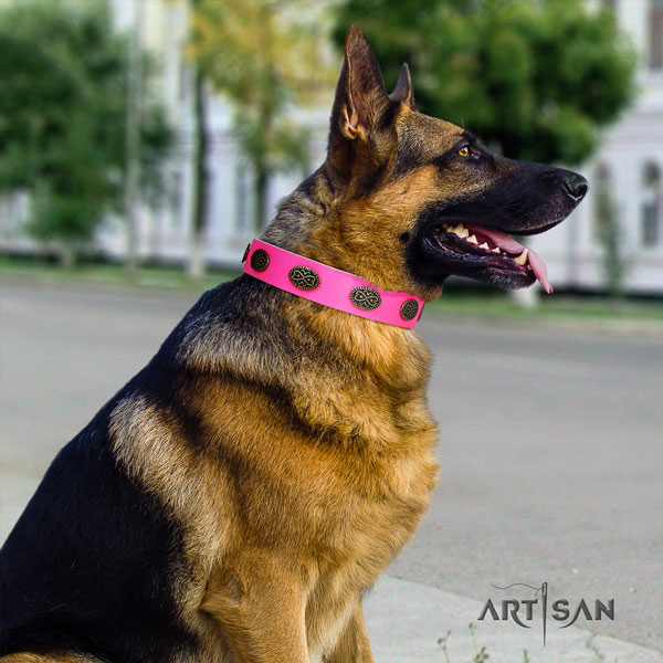 German Shepherd leather dog collar with embellishments for your attractive dog
