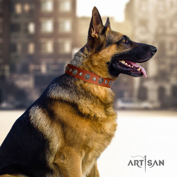 German Shepherd genuine leather dog collar with embellishments for your attractive doggie